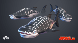 Sharks 09