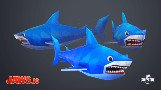 Sharks 16